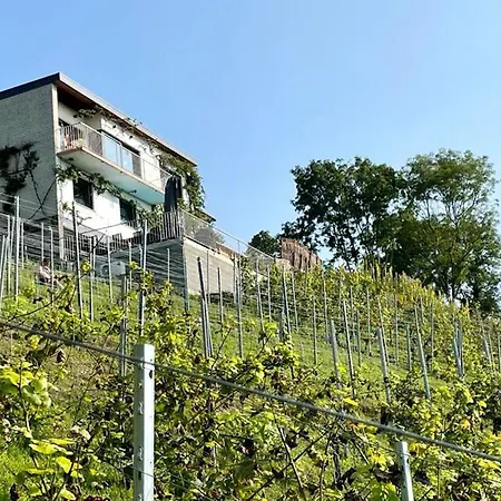 Du Bois Marie Vue Exceptionnelle Piscine Salle De Jeux 12 Pers Prázdninový dům