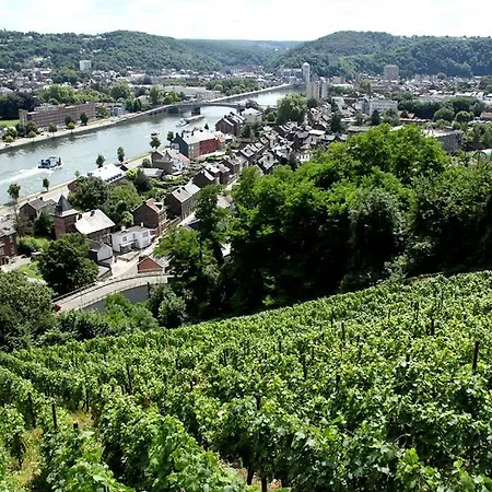 Du Bois Marie Vue Exceptionnelle Piscine Salle De Jeux 12 Pers * Huy
